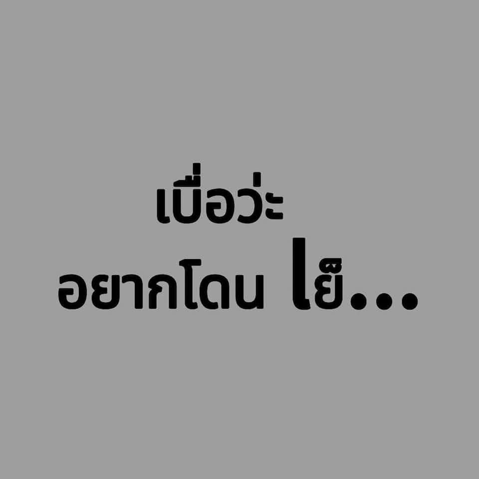 mona121311's tweet photo. อยากเย็ด DM #รับงานสตูล #นัดเย็ดสตูล #สตูล https://t.co/vnXXUf8DUj