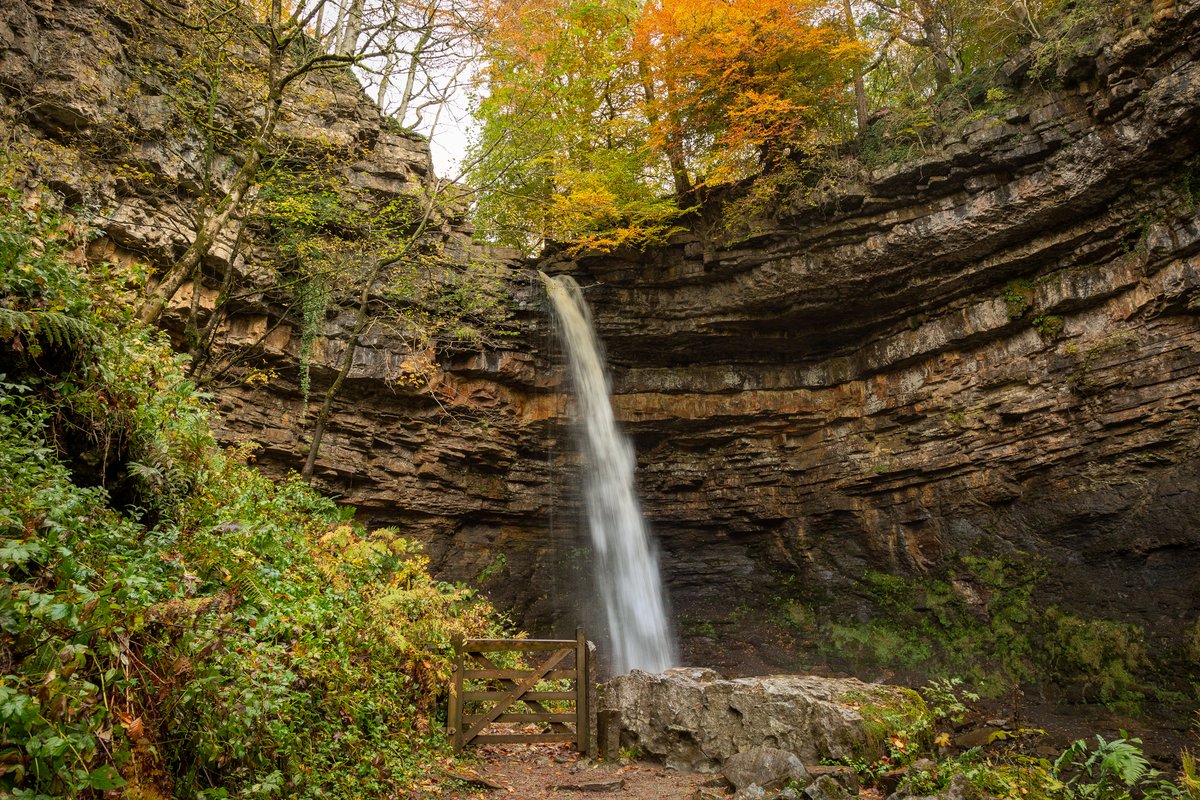 yorkshire_dales's tweet photo. 💧 Hardraw Force – England’s tallest single-drop waterfall
📍 Tucked behind the Green Dragon Inn, this 100-foot cascade has inspired poets, painters, and adventurers for centuries.

📸 Wendy McDonnell | #HardrawForce #YorkshireDales #WaterfallWonders #ThursdayThoughts https://t.co/ucvZK0hOE2