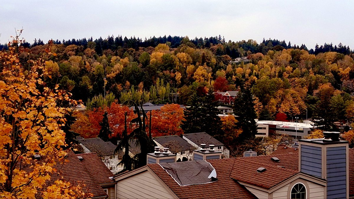 🍂🍁🍃<a href="/EmaTigi/">Tigist S. Hussen</a> your favorite colors