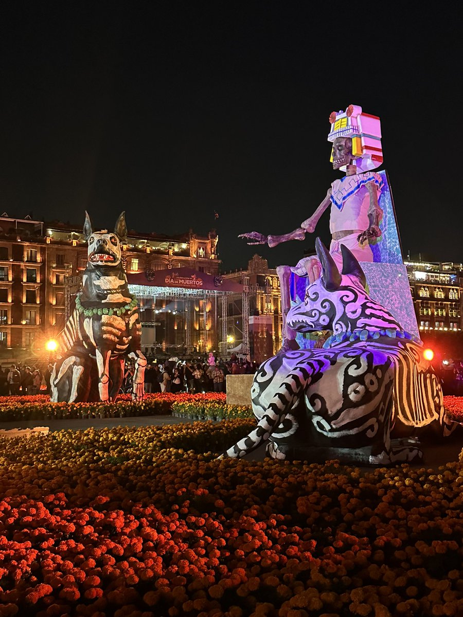 rocasogui's tweet photo. …Xolotototototes 🤩 #MegaOfrenda 🏵️💀🏵️🐾🦴 https://t.co/1elzK2WhFB
