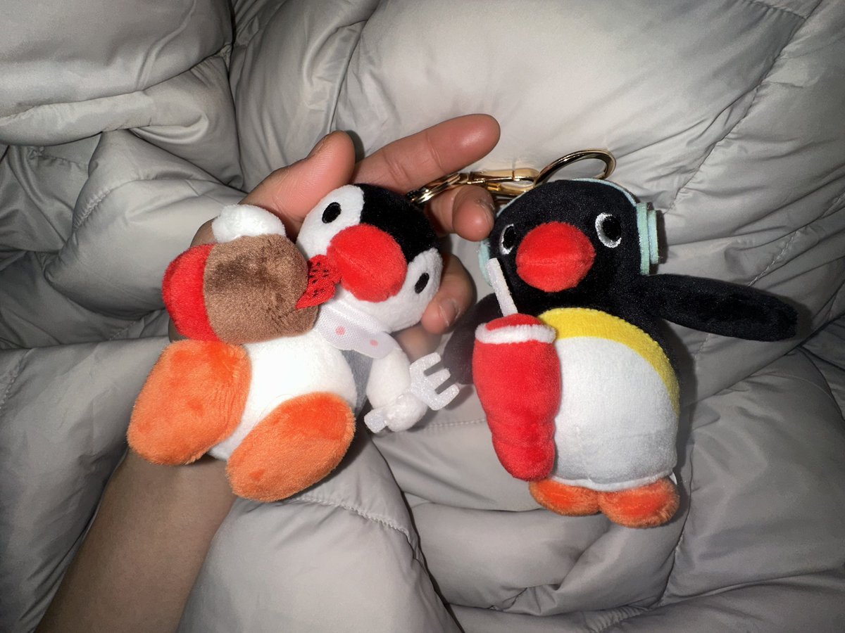 김빠진콜라 tweet media