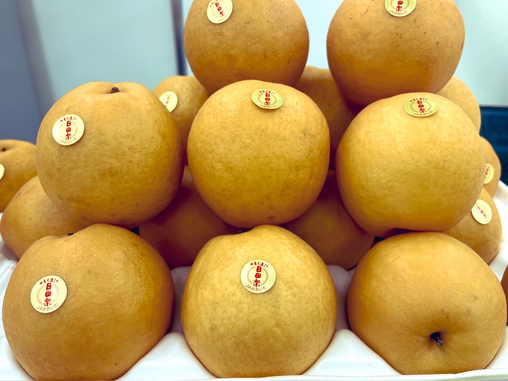 今年も実りのフェスティバルに出展します🍋🍐🐟🍄

大分県ブースでは大分かぼす、さいきマリンレモン、日田梨、乾しいたけ、水産加工品などを販売します！
入場無料です🆓ぜひお立ち寄りください！

🗓️10/31(金)、11/1(土)
📍サンシャインシティ ワールドインポートマートビル4F（豊島区東池袋）