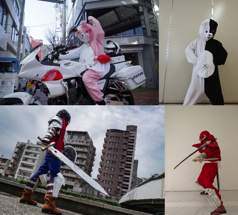 ハイゴッグ tweet media