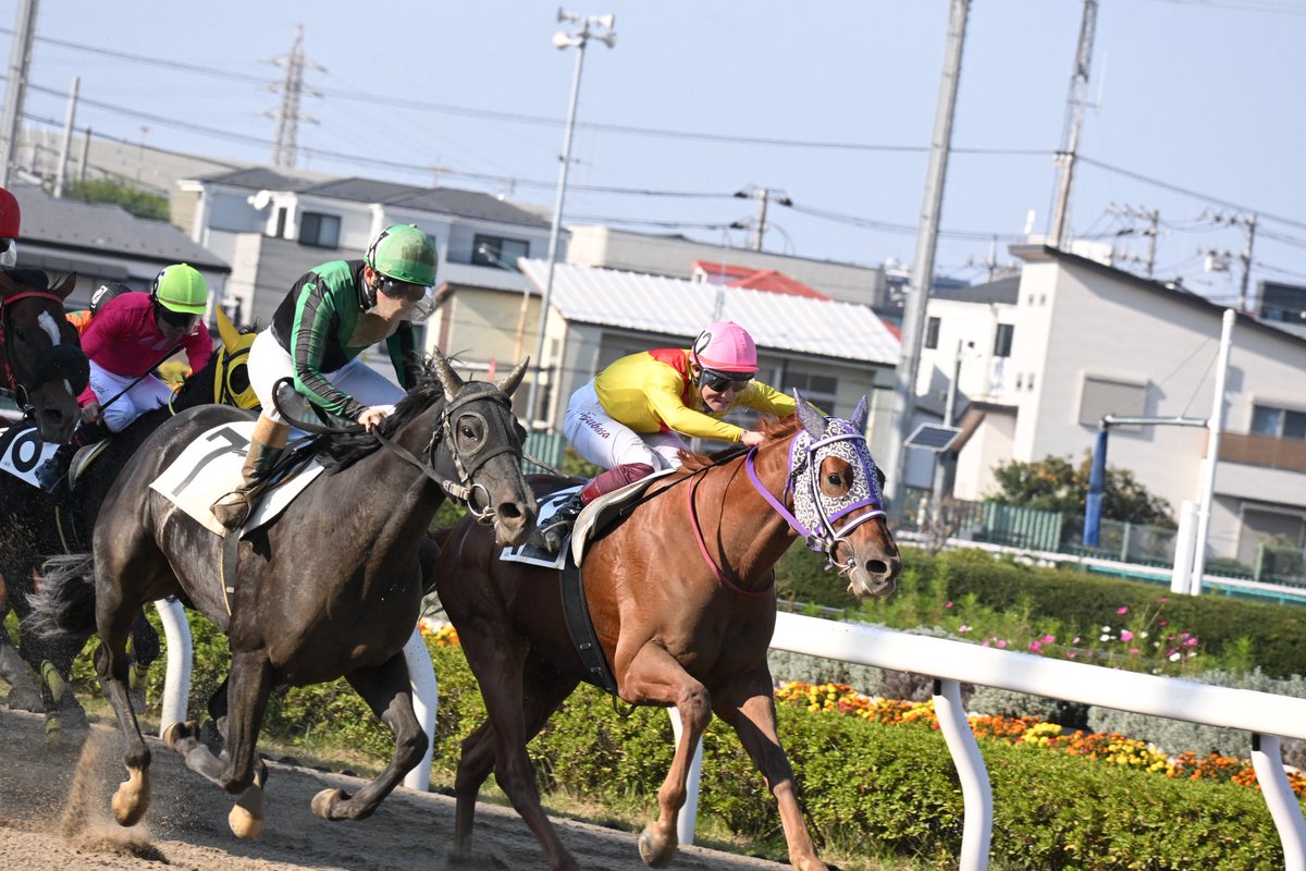 EKE3lLiS4brY0C5's tweet photo. ナリタアンビザジョン　川島厩舎　１着㊗️

18勝目🎊

七夕🎋J🙌

#川島厩舎18勝目㊗️ https://t.co/5OLaTDgqKp