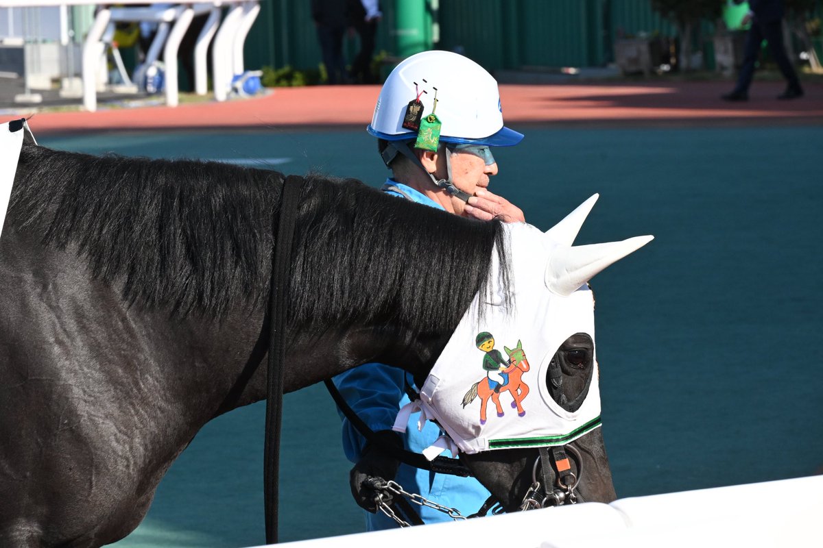 EKE3lLiS4brY0C5's tweet photo. ナリタアンビザジョン　川島厩舎　１着㊗️

18勝目🎊

七夕🎋J🙌

#川島厩舎18勝目㊗️ https://t.co/5OLaTDgqKp