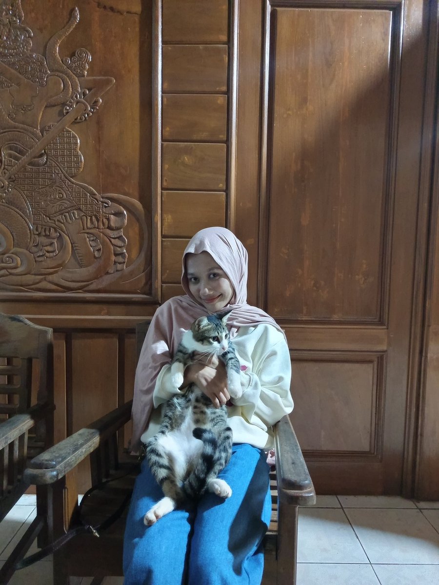 confusedishere's tweet photo. kucing sombong https://t.co/2jVnip9aBF