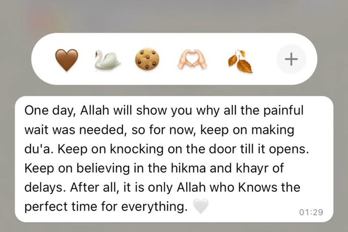 MuslimsMatters's tweet photo. One day In'Sha'Allah https://t.co/fs2AkQEYvu