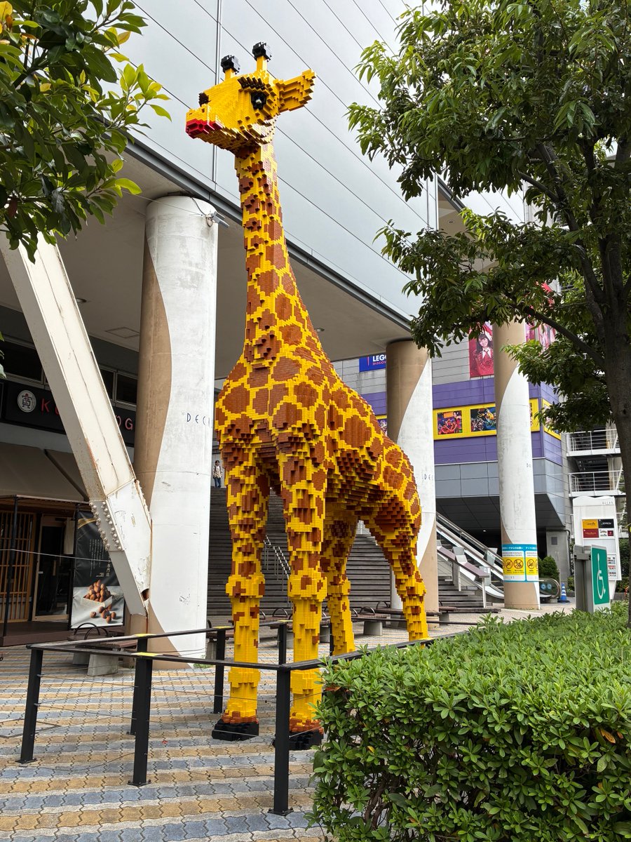 Martin Smith (@martins54249840) on Twitter photo 