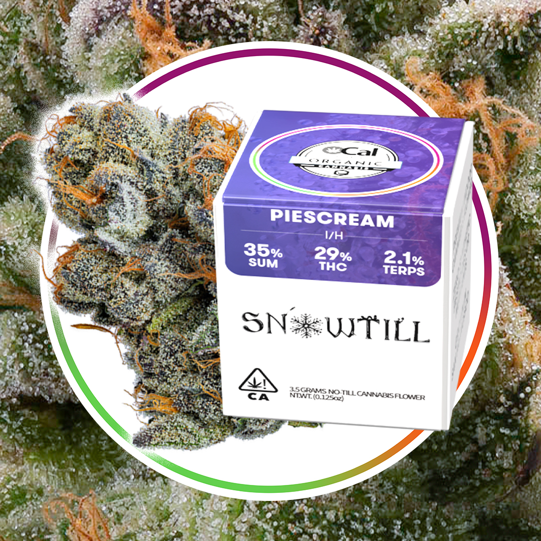 Fresh Drop Loading...

snowtill.com/#get 

#notill #cannabis #mmemberville #terps