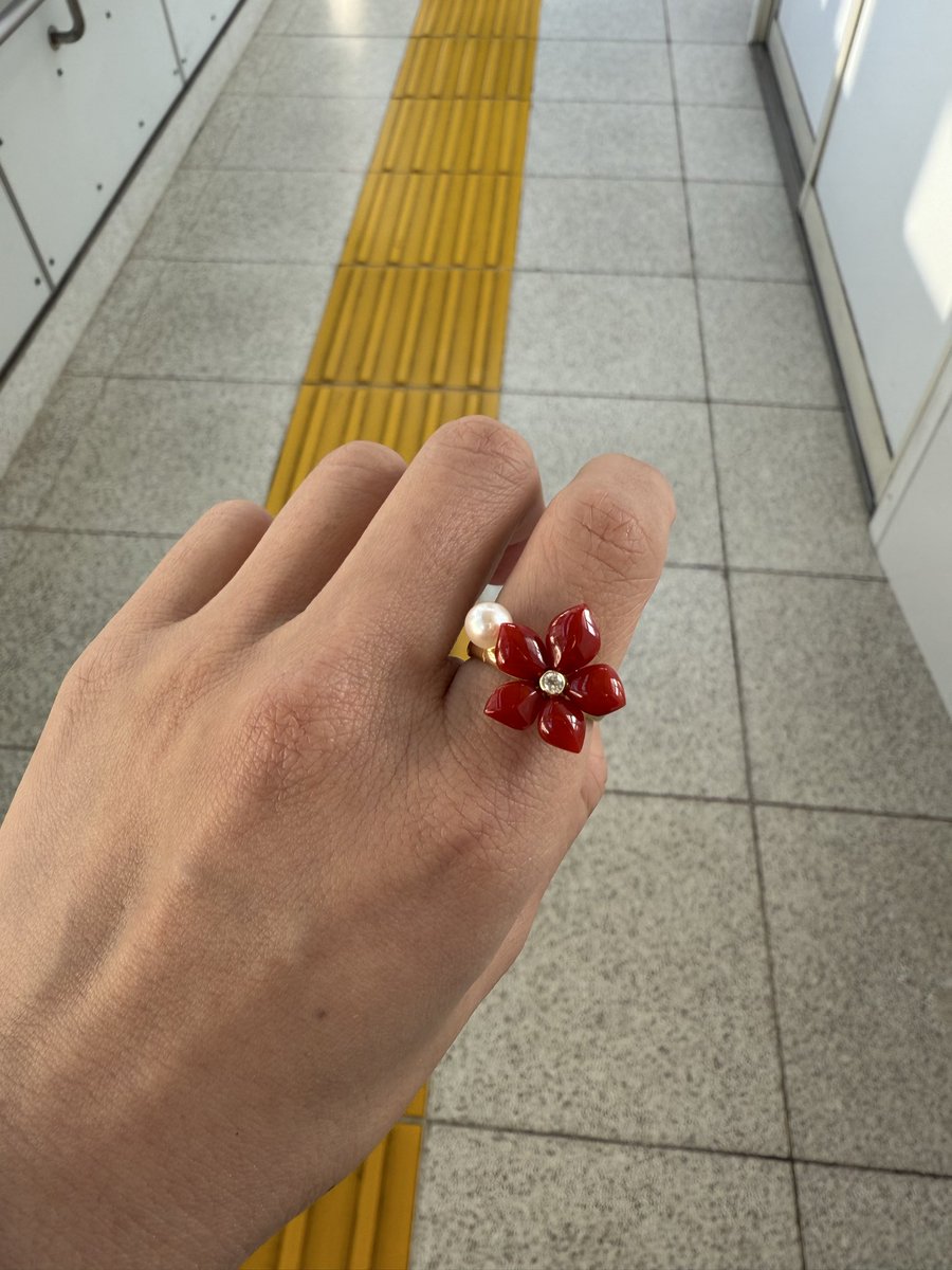 Totoroberyl 怪しの獣🦉 🌳冬眠中!!!! (@Ilikeberyl1) / Posts / X