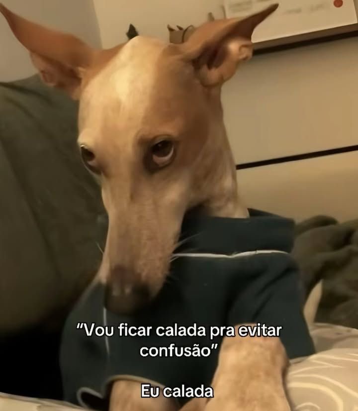 teu caos tweet media