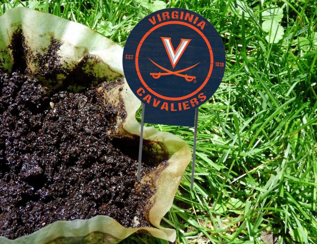 AdmiralBear01's tweet image. VaTech campus is much nicer than the University of Virginia "grounds," that's for sure