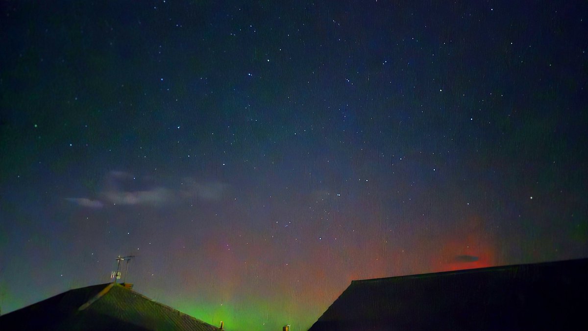 Scott Grant tweet media