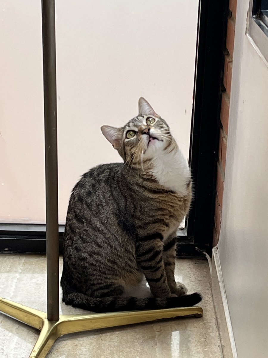 mtrohl's tweet image. 