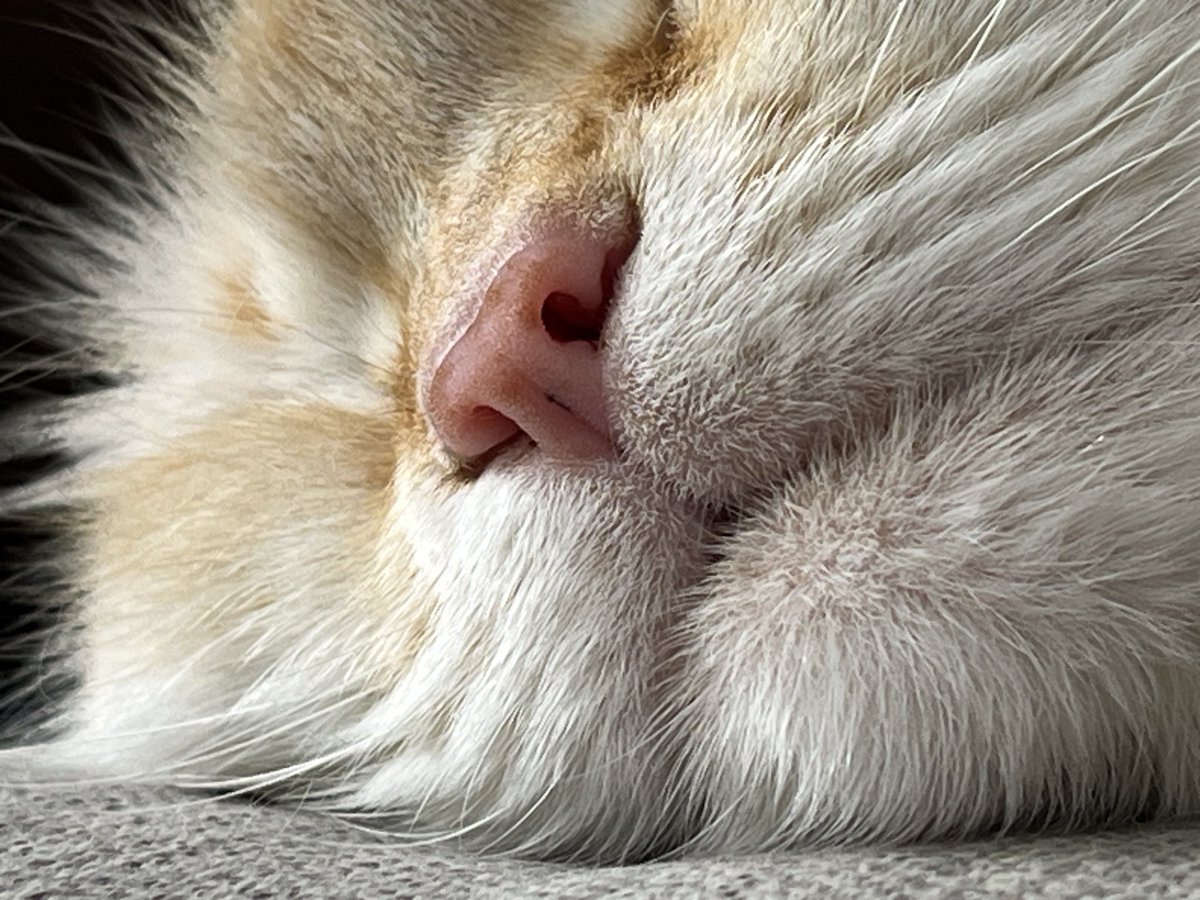 mtrohl's tweet image. 