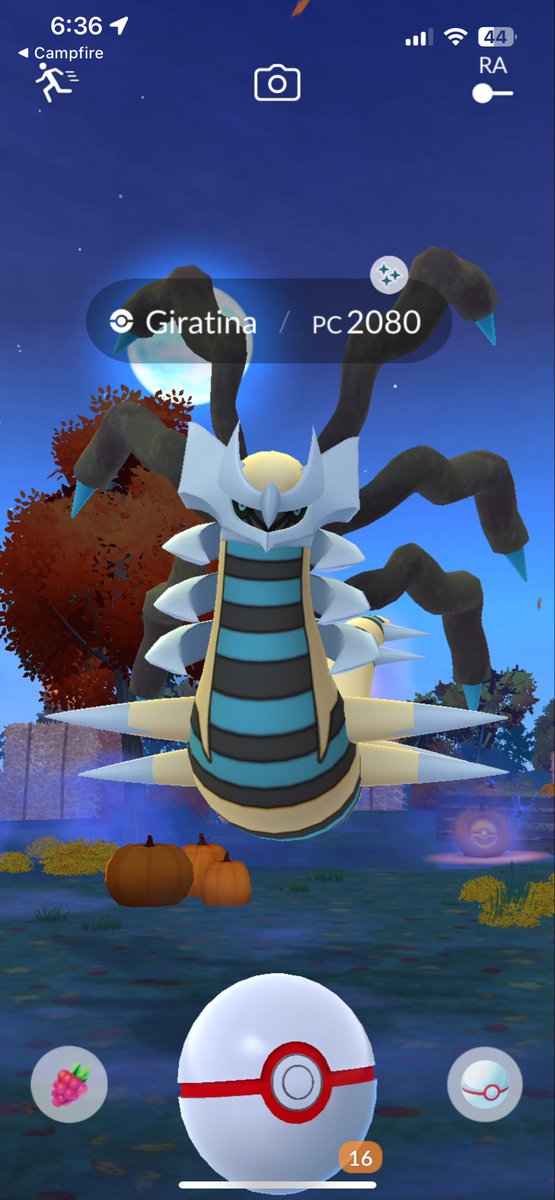 VadhirConV's tweet photo. No mames! ✨ #PokemonGOApp #ShinyPokemon https://t.co/Dww1oFSZgM