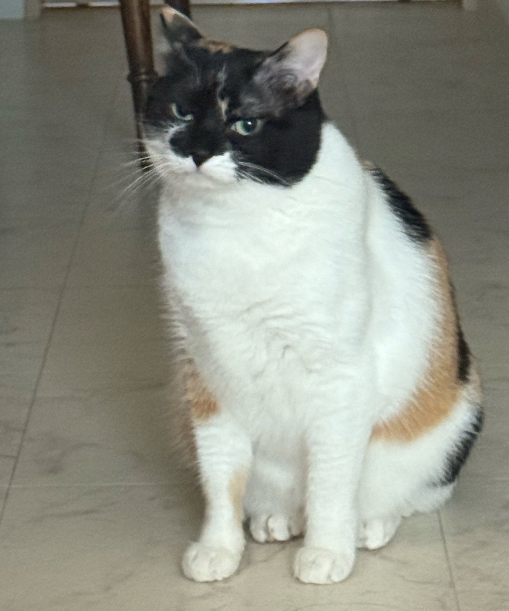 雷十太先生 (@asjSvnCZl18wKXM) / Posts / X