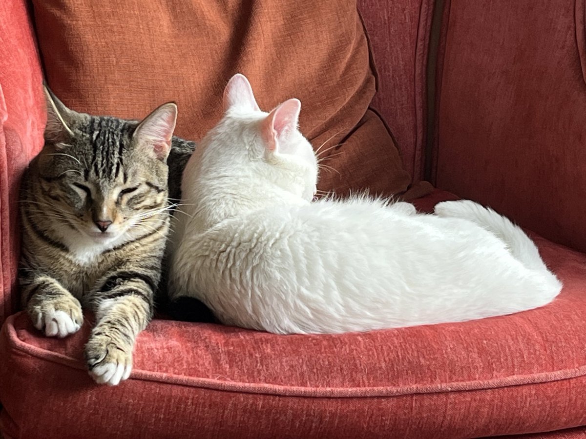 mtrohl's tweet image. 