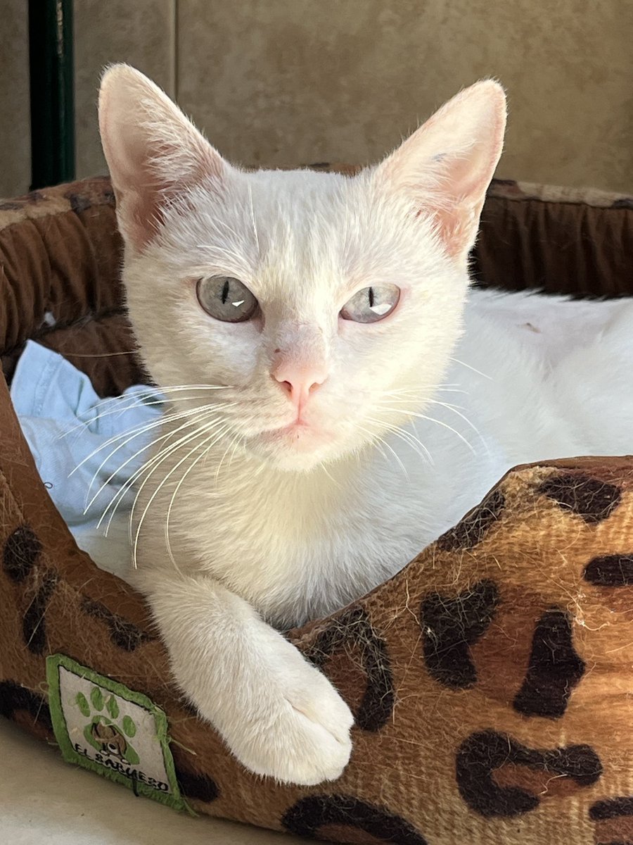 mtrohl's tweet image. 