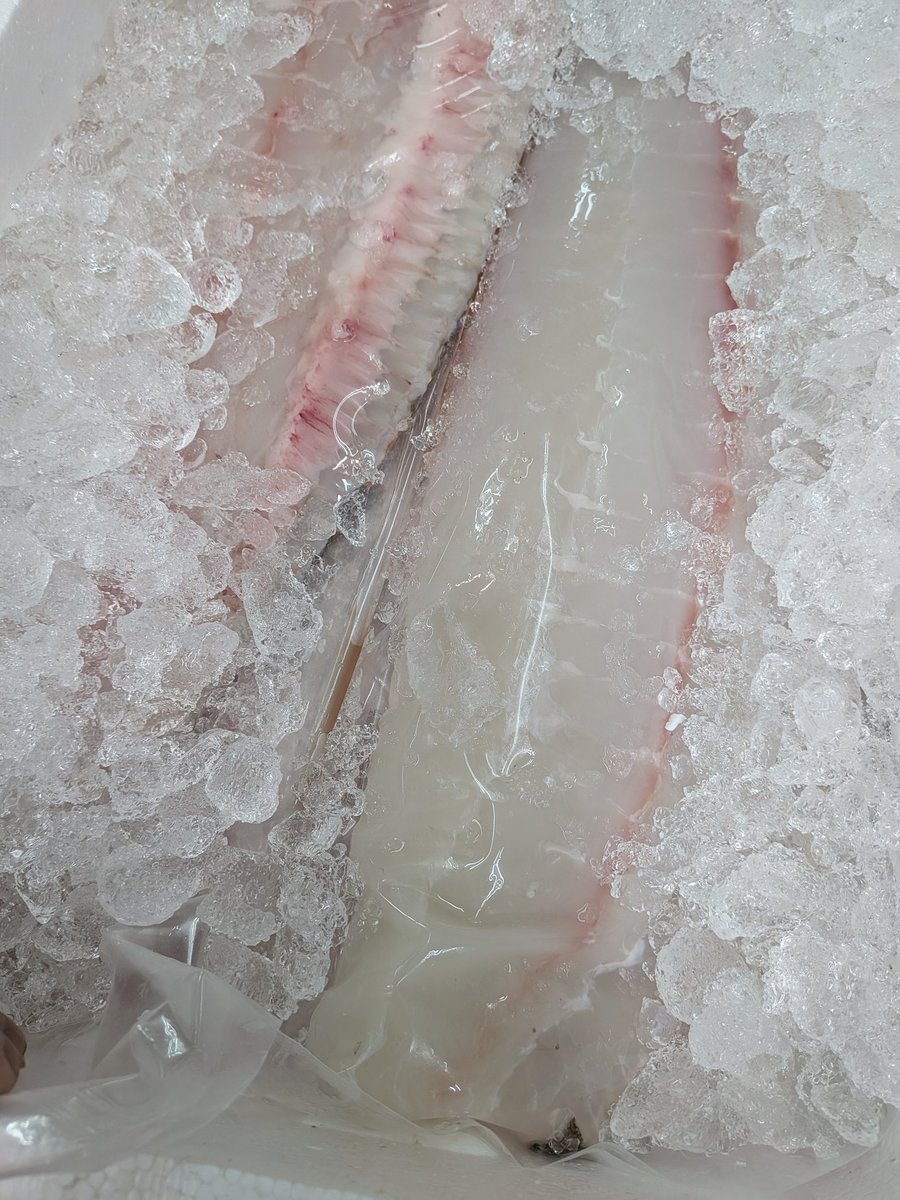 魚菜屋【天然鮮魚専門店】 on X