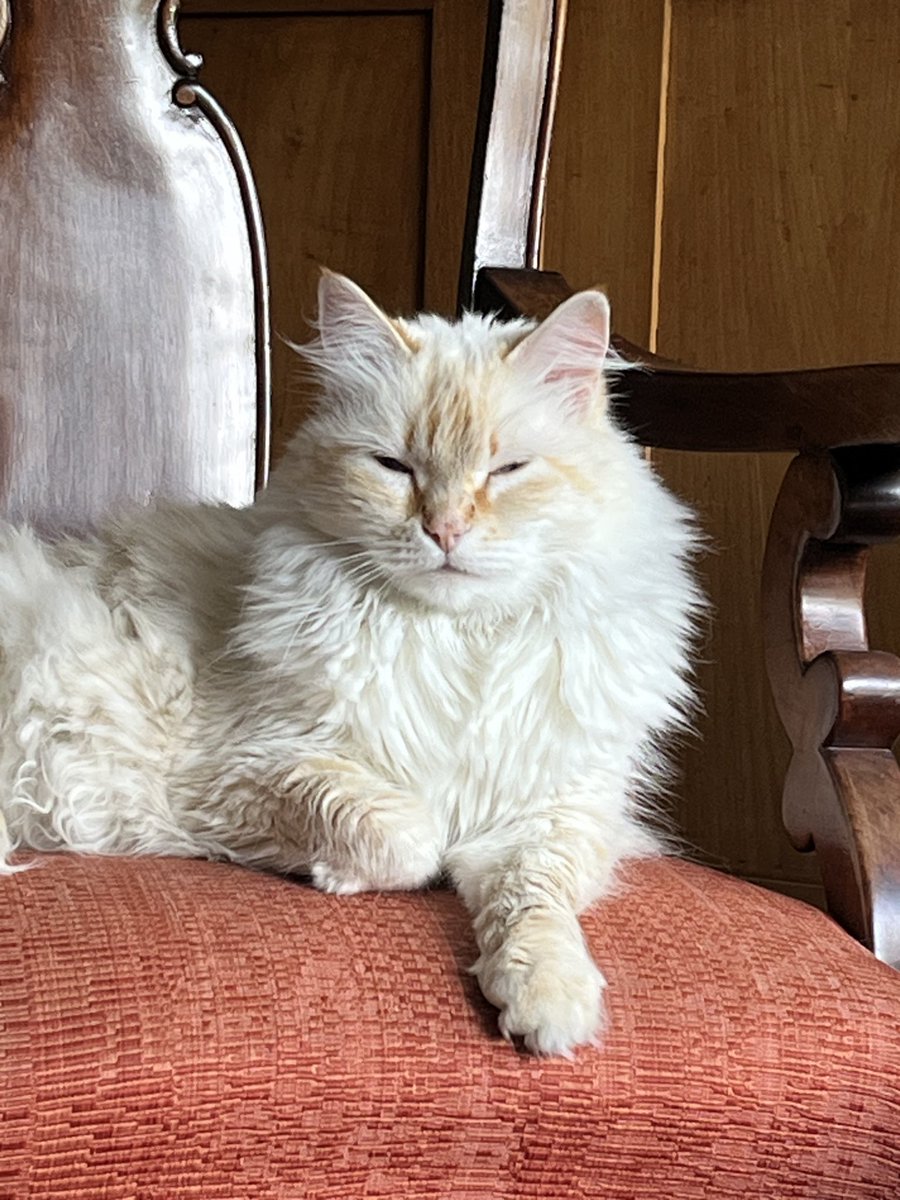 mtrohl's tweet image. 