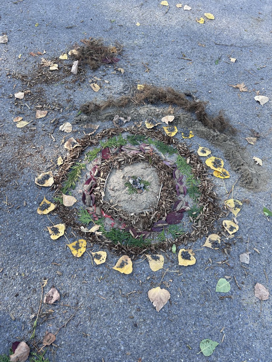 StBrigidOCSB's tweet photo. This week Ms. Nabuurs’ class explored patterns, symmetry, and the natural world by making mandalas out of material we found on the yard. The kids loved it and worked together so well! #ocsb #ocsbBeCreative https://t.co/mSiwyo9aJ1