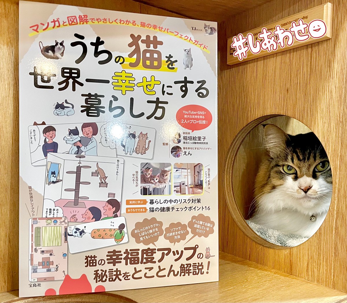 ねこ。　ページ 138594-15-