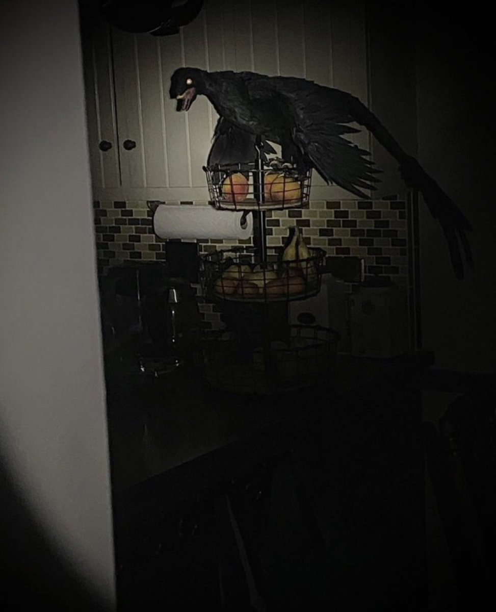 Valwic_Dilo's tweet photo. @utahraptor_x Idk… feathered Dinos are still pretty tough https://t.co/llvbO1VUuY