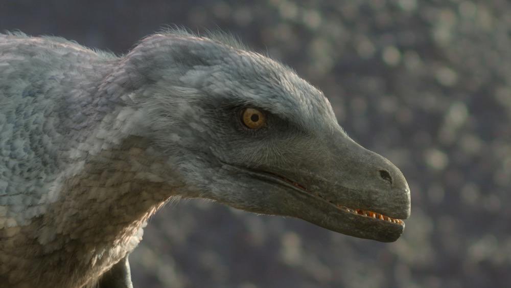 Valwic_Dilo's tweet photo. @utahraptor_x Idk… feathered Dinos are still pretty tough https://t.co/llvbO1VUuY