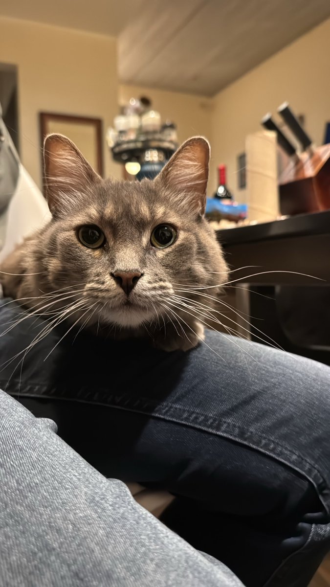 Jorge Monge F. 🏳️🇺🇦🇨🇷 tweet media