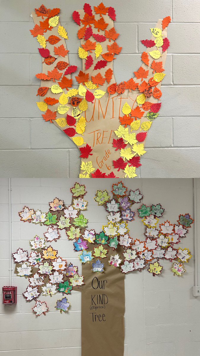 Together we grow kindness! 🌳🧡 Our school celebrated #UnityDay with orange outfits, compliment circles, and Unity Trees full of love and acceptance 🍂 <a href="/WheelerAvenue/">Wheeler Avenue School</a> #TeamWheeler <a href="/VS13UFSD/">ValleyStream13UFSD</a>