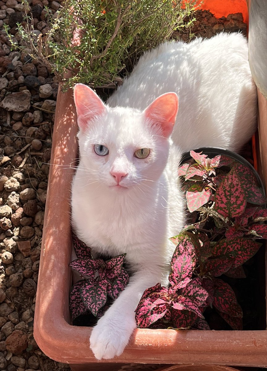 mtrohl's tweet image. 