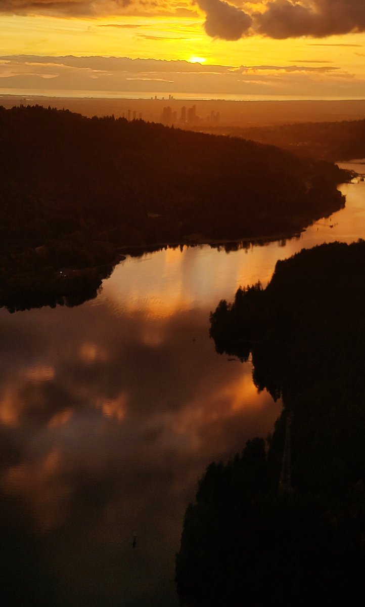 TrishJewison's tweet image. Seriously, whatttttt 😍