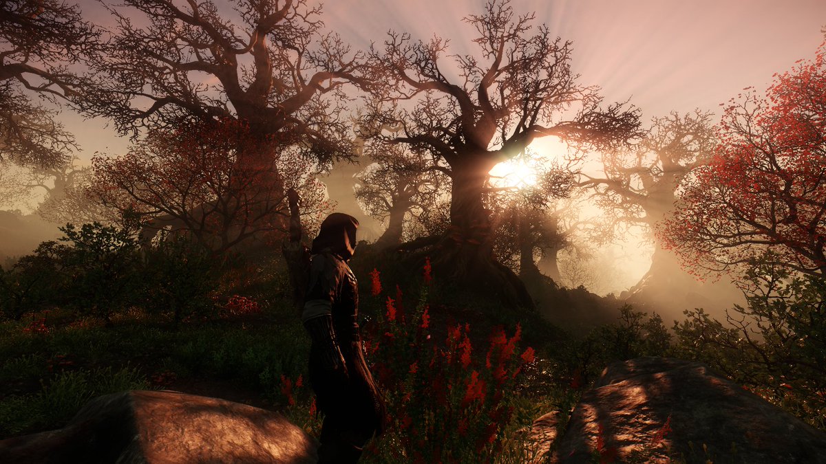 _etic_'s tweet photo. @FairuzaGoes feels like i lost someone close to me. been a long time since i felt this way about a game. 

also, i'm just randomly running around today exploring everything that looks interesting, then i turn around and see this <3 https://t.co/knBUTm5hPH