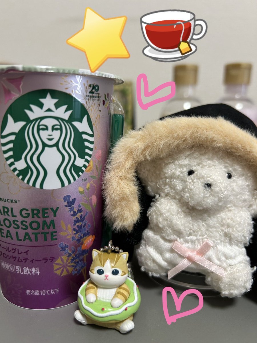 くーちゃん AZONE INTERNATIONAL::えっくす☆きゅーと::商品詳細