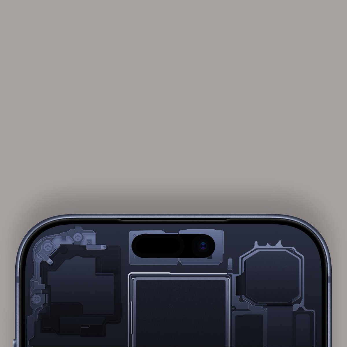 Basic Apple Guy tweet media