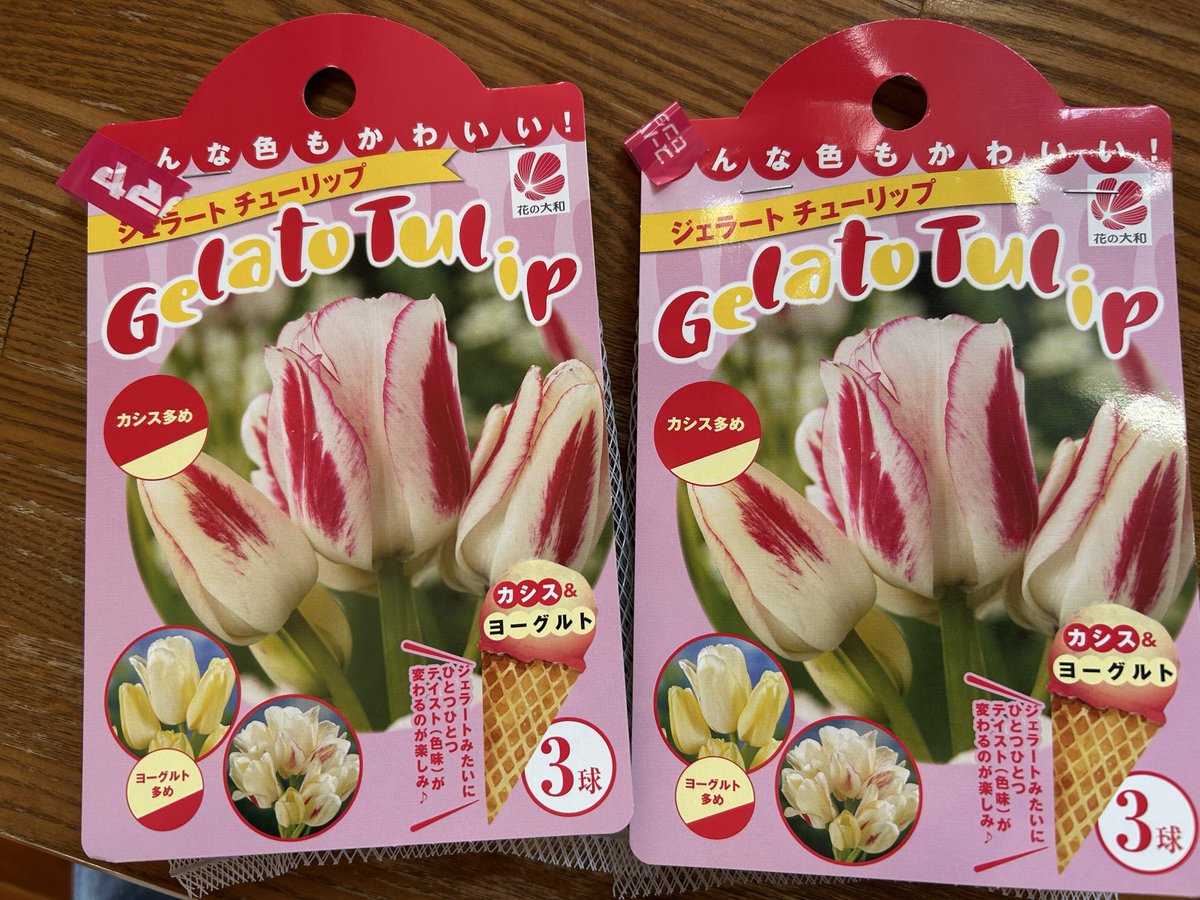 チューリップ様•*¨*•.¸♬︎ チューリップ - Search / X