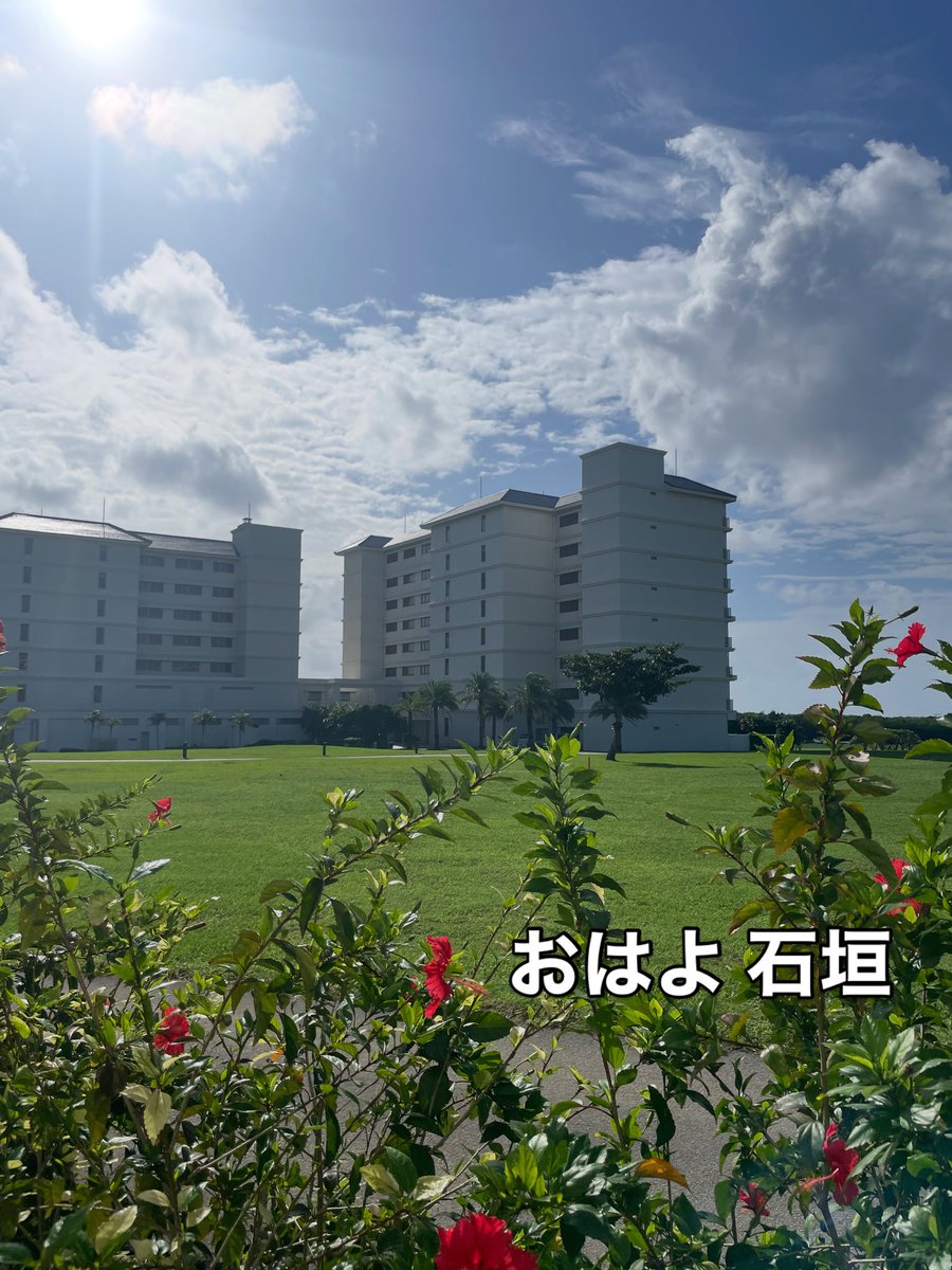 CHIKATABI1's tweet photo. #僕ココ https://t.co/Q66dRz9vxg