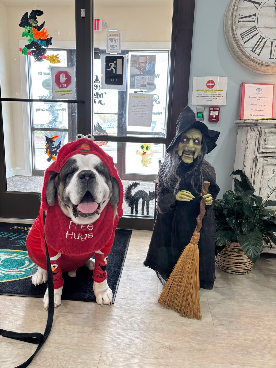 drago_saint's tweet photo. Elmo wasn’t scared of the witch today. #Halloween2025 #dog #DogLovers #therapydog https://t.co/0IXthF7VeR
