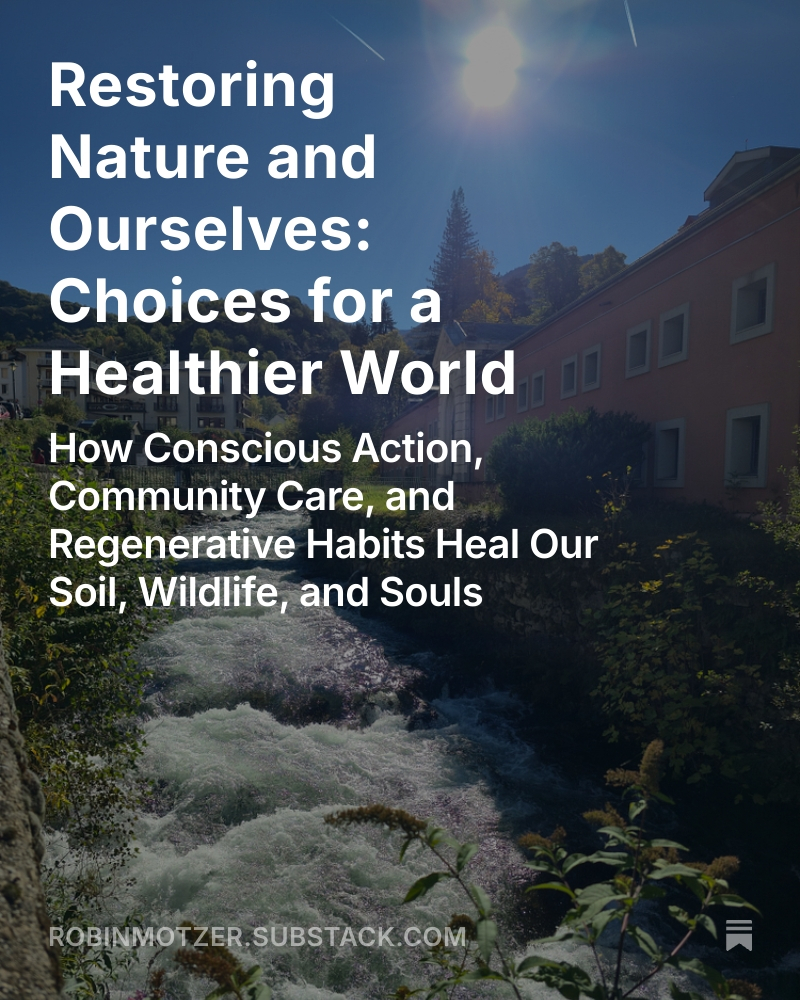 RobinMotzer's tweet image. Restoring Nature and Ourselves: Choices for a Healthier World, by @RobinMotzer open.substack.com/pub/robinmotze…