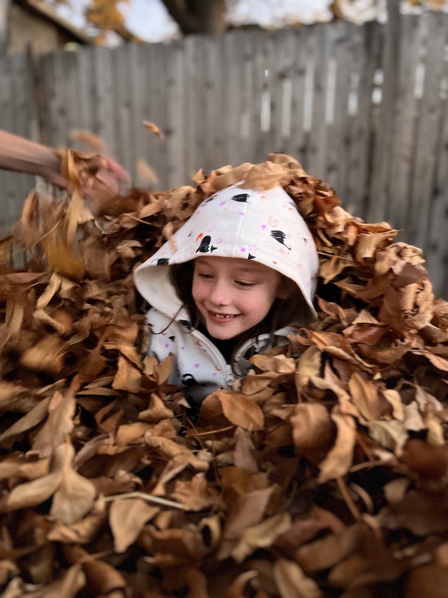 wxnerd's tweet image. 🍂