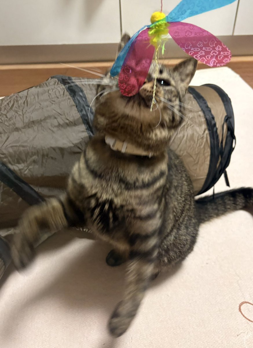 ctgtoyjapanから当選した第2期SAGAイエロー 畜光 ソフビ ctgtoyjapan