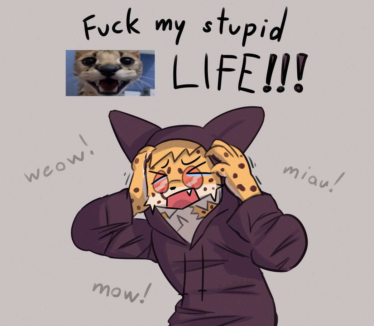 Diskette Delve tweet media