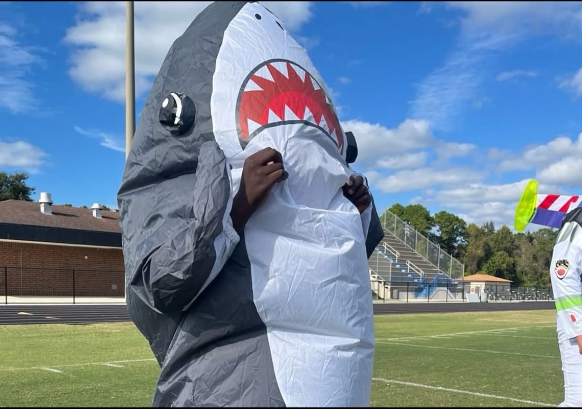 Merlin Smith tweet media