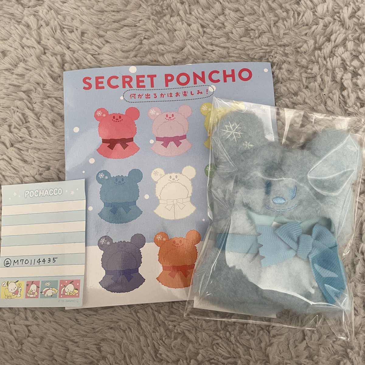 ぽちゃ🐶 tweet media