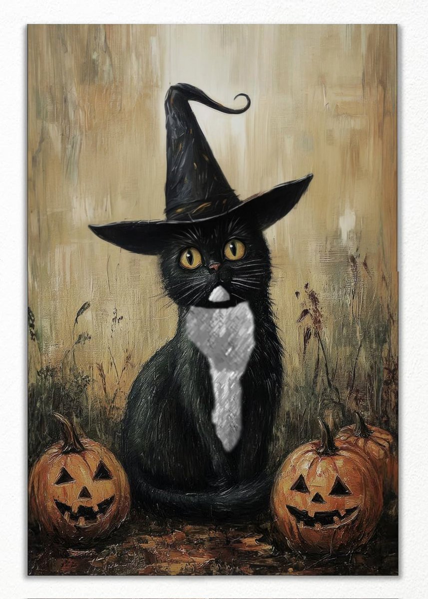 Timothy&Sebastian tweet media