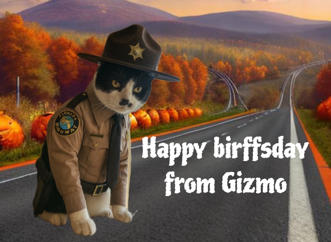 <a href="/ZombieSquadHQ/">ZombieSquadHQ💖💚🧡💚🩵©</a> <a href="/BonzoBaggins/">Keith Lodge p.a to Herbie Herbert 🇬🇧❤️🇺🇦</a> <a href="/ZSBirthday/">ZS Birthday🎂🎁🎉</a> <a href="/MuddlesDog/">Miss Muddles 🐶🎀💕💖 #ZSHQ General</a> <a href="/TheCatMalice/">Malice & Mayhem🩵#RIPPandora #ZSHQ</a> Herbie happy 8️⃣th