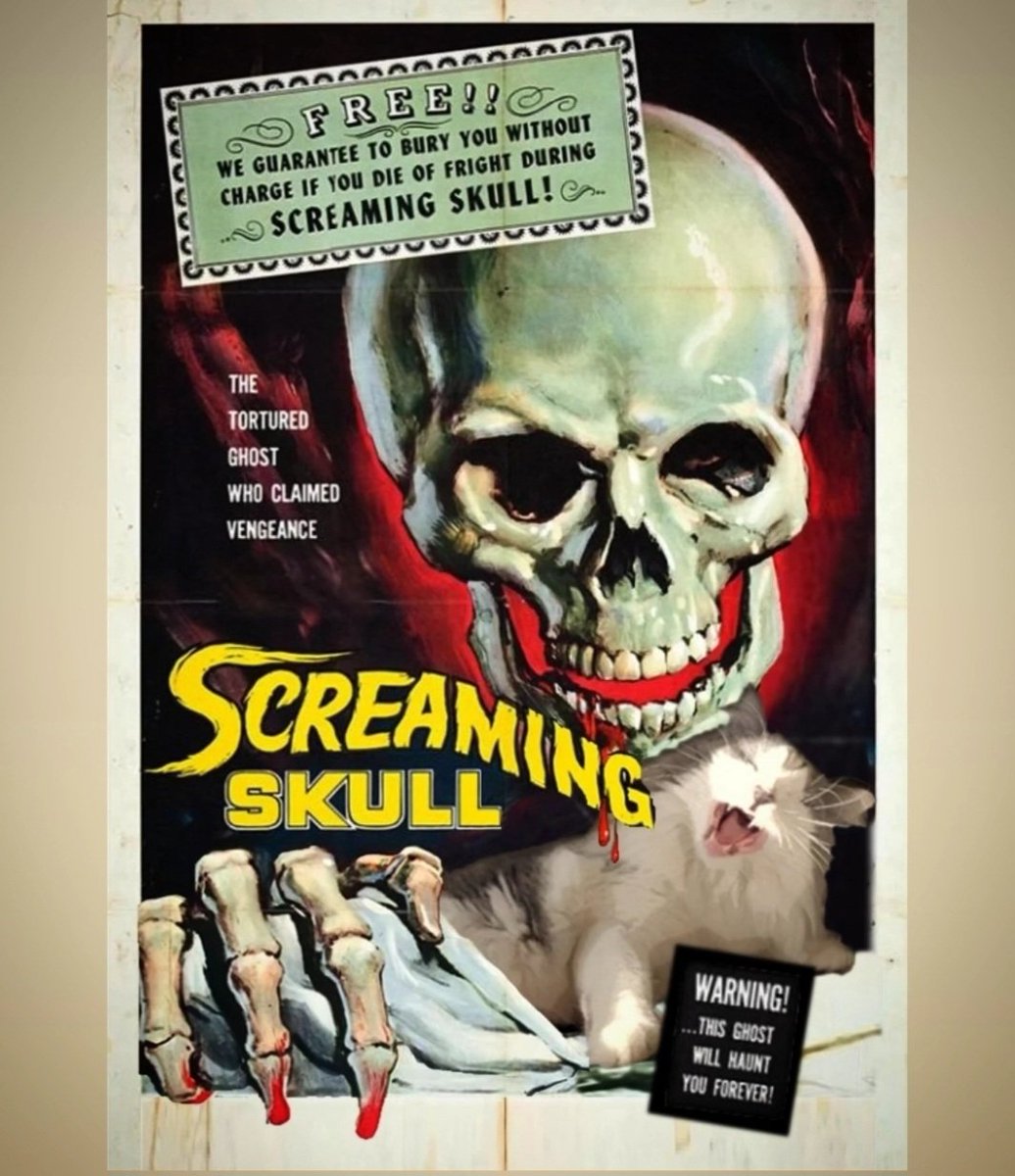 Timothy&Sebastian tweet media