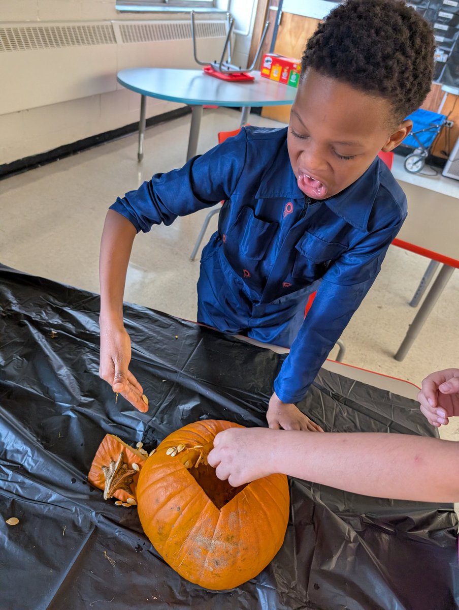 Kdnelson01's tweet photo. Our Sharks had a spook-tacular time diving into pumpkin-themed learning, trick-or-treating through the halls, and celebrating fall fun together! 🍂🧡

#MakingWaves #SharkStrong #MossStreetElementary #FallFun #PumpkinLearning https://t.co/OB6gXDlak6
