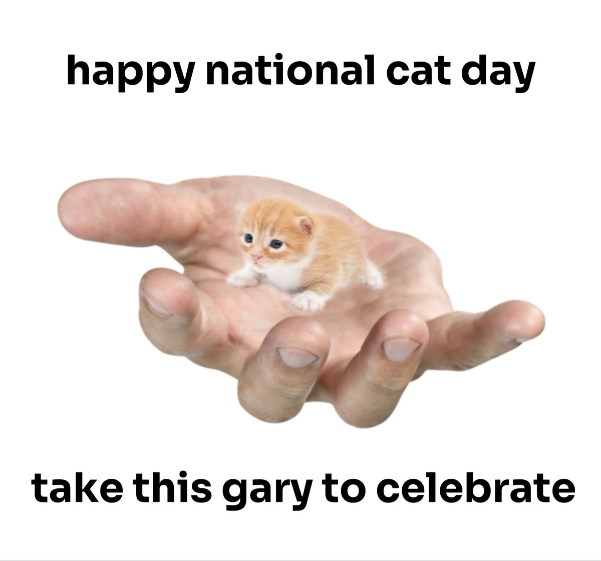 gary (@higary__) on Twitter photo 